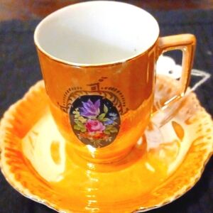 Leuchtenburg made in Germany tea cup n saucer